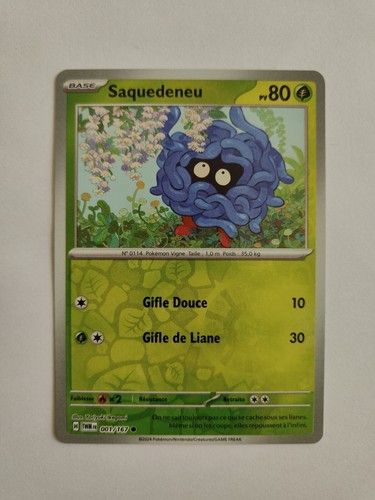 Carte pokémon saquedeneu - carte,