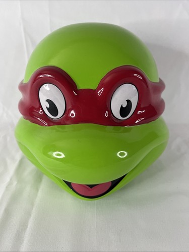 Teenage mutant ninja turtle - ninja,
