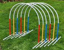 NADAC Hoopers arco con