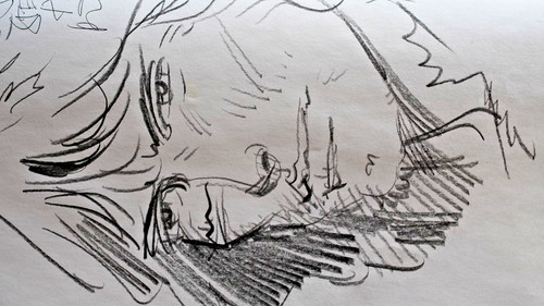 Thorgal dessin rosinski - dessin, g.