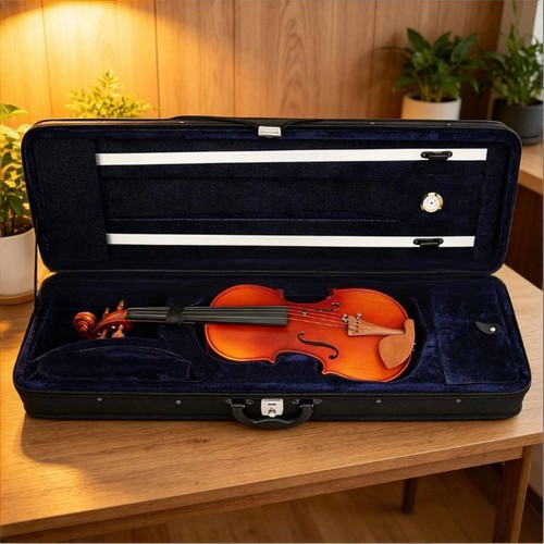 Custodia violino portatile - 4/4,