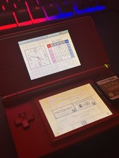 Nintendo DS Lite Console