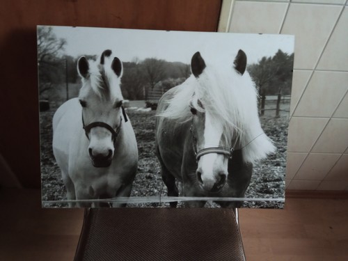 Quadro decorativo decorativo