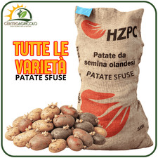 PATATE DA SEMINA CERTIFICATE