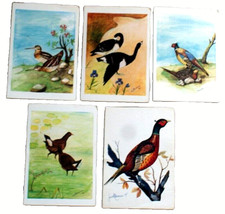 5 CARTOLINE SERIE UCCELLI Repubblica dei Ragazzi CIVITAVECCHIA