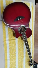 Chitarra elettrica acustica