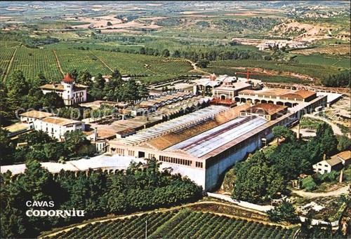 Cavas codorniu veduta - veduta, aerea