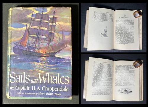1951 sails and whales whaling - 1951,
