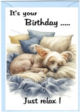 Biglietto Compleanno Cane