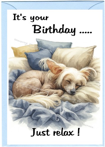 Biglietto compleanno cane - compleanno,