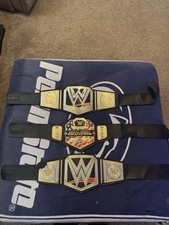 Lotto cinture wrestling