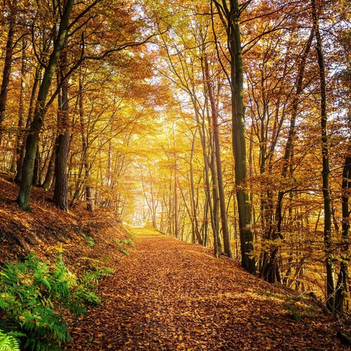 Remscheid bergisches land - remscheid,