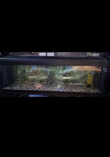 Acquario per pesci tropicali - per,