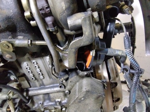Xvjd motore ford ecosport - motore,