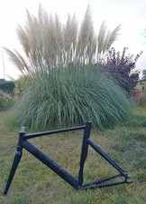 Aventon Mataro Black - Telaio bici da corsa Fixie/Flip-Flop/Single Speed - 55 cm