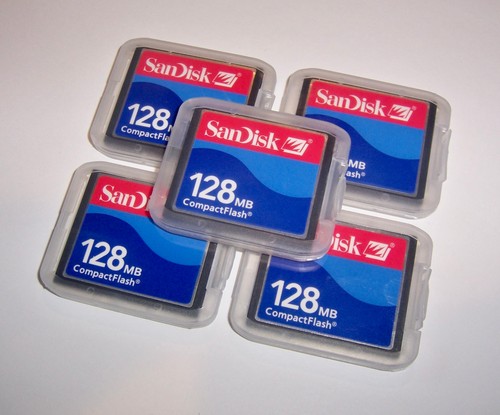 Schede memoria sandisk - memoria,