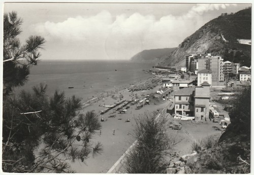 Deiva marina savona - -,
