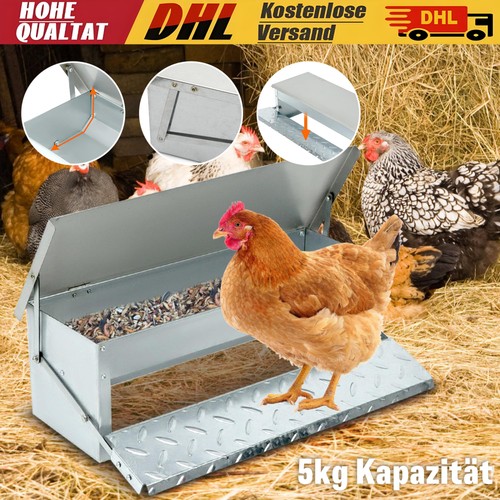 Mangiatoia automatica per