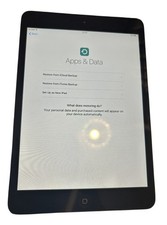 Ipad mini 16 gb - ipad,