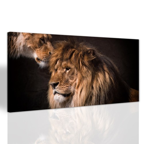 Leone leonessa amano canvas - leone,