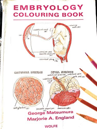 Colouring book embryology - colouring,