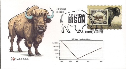 American bison fdc - bison,