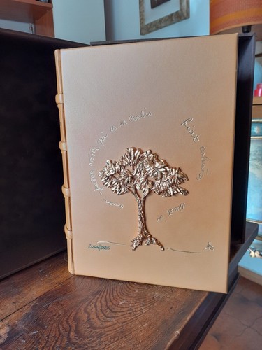 Libro ore illustrato ugo - d'ore,
