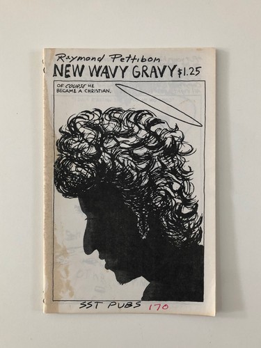 Raymond pettibon zine - pettibon, 2
