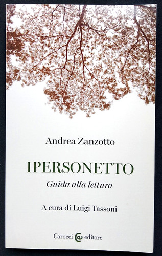 Ipersonetto andrea zanzotto - ipersonetto,