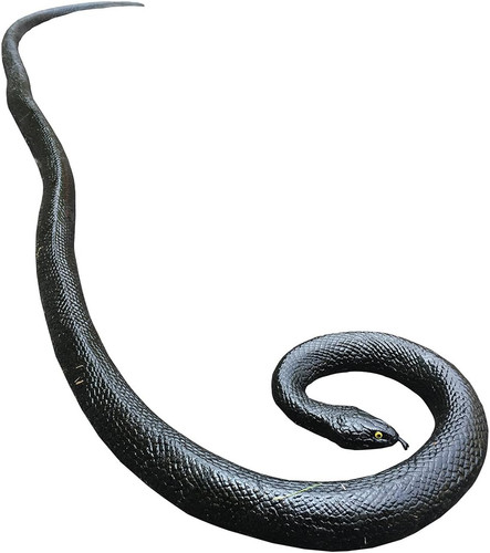 Serpente gomma - in, 53"