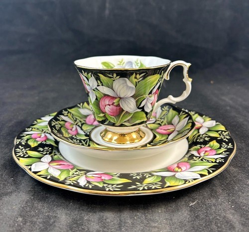 Royal albert provincial - albert,