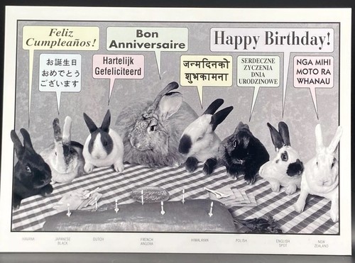 Biglietto compleanno buon - biglietto,