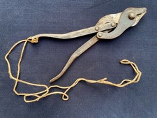 Pinza Tagliafili Inglese