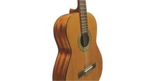 Eko chitarra vibra - vibra, 200