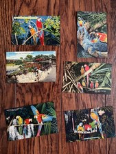 Parrot Jungle Miami FL lotto