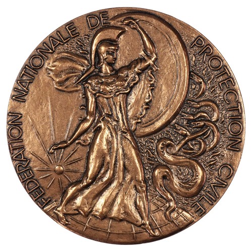 Francia medaglia federazione - francia,