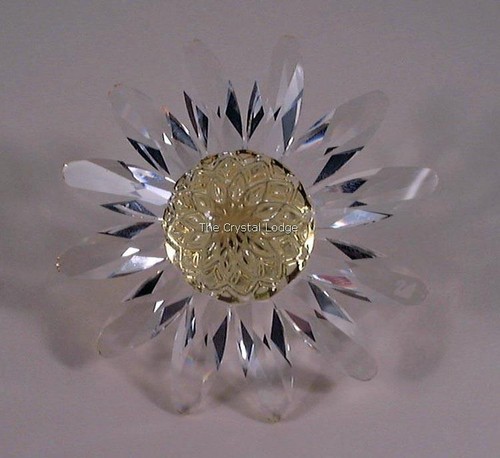 Swarovski scs rinnovo regalo - swarovski,
