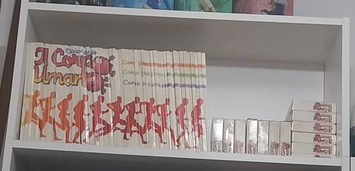 Esplorando corpo umano - umano, anni