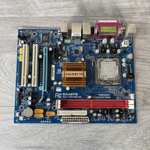 Scheda madre gigabyte - madre,