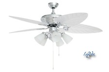 Splendido Ventilatore da