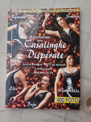 Romanzo delle casalinghe - romanzo,
