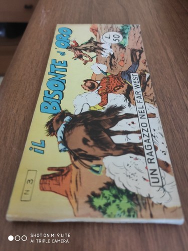 Ragazzo nel far west - far,