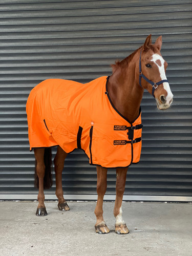 Turner equestrian tappeto - turner,