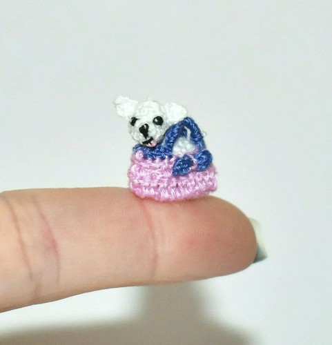 Tiny dog chihuahua in - tiny, borsa