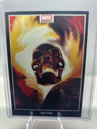 Panini marvel anthology - panini,