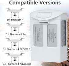 DJI Phantom 4 Pro Intelligent Flight batteria di ricambio 15.2V 5870mAh alta capacità IT