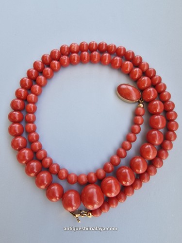 Collana antica oro corallo - antica,