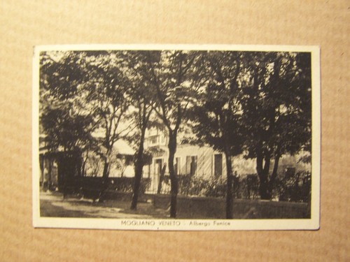 Mogliano veneto - veneto, (treviso)