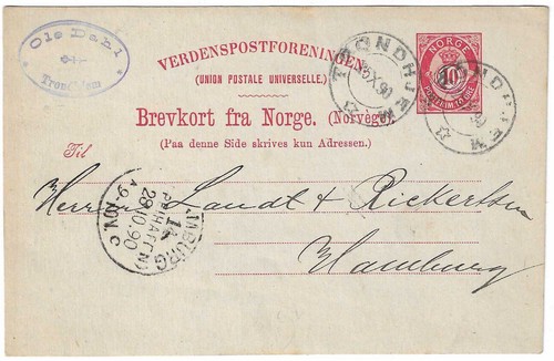 Norvegia 35 i aune - ga,