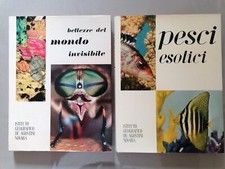 Lotto 2 libri BELLEZZE DEL